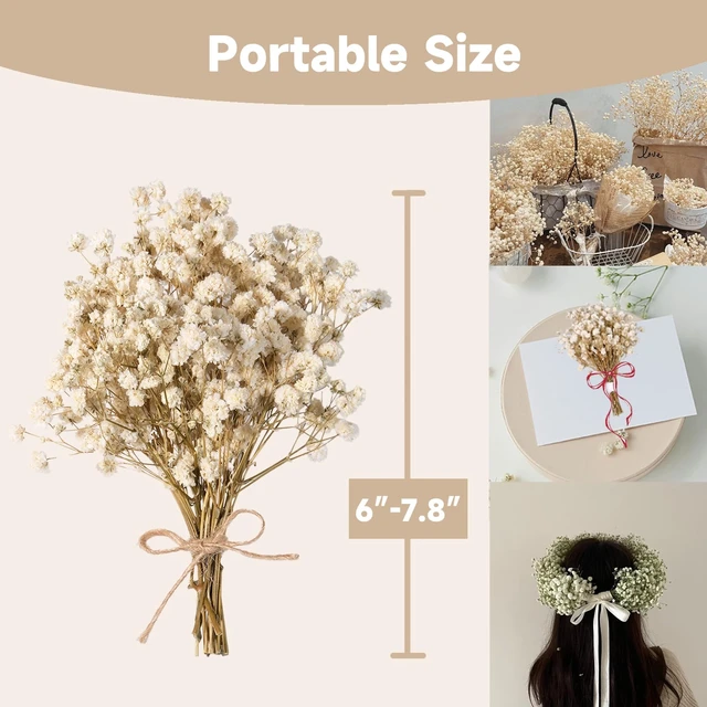 Alt view image 4 of 7 - 2000+ Pure White 6"-7.8" Portable Dried Baby's Breath Bouquet | Mini Gypsophila Flowers, Natural Dried Flowers for Wedding Home Decor DIY Crafts Vase Filler Wreath Card Making