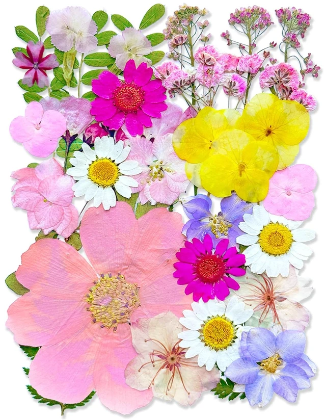Main image of 33Pcs Pink Pressed Dried Flowers for Resin, Real Natural Bulk Assorted Dry Floral Leaves for DIY Art Crafts, Epoxy Molds, Jewelry, Soap, Candle Making, Nails Decors