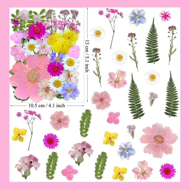 Alt view image 6 of 6 - 33Pcs Pink Pressed Dried Flowers for Resin, Real Natural Bulk Assorted Dry Floral Leaves for DIY Art Crafts, Epoxy Molds, Jewelry, Soap, Candle Making, Nails Decors