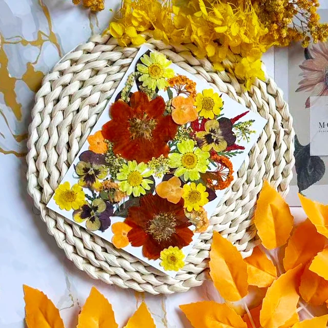 Alt view image 2 of 6 - 34 Pcs Yellow Dried Pressed Flowers for Resin, Real Natural Bulk Dry Wildflowers Leaves Perfect for Epoxy Molds, DIY Crafts, Nails Soap Candles Jewelry Making, and Home Decor