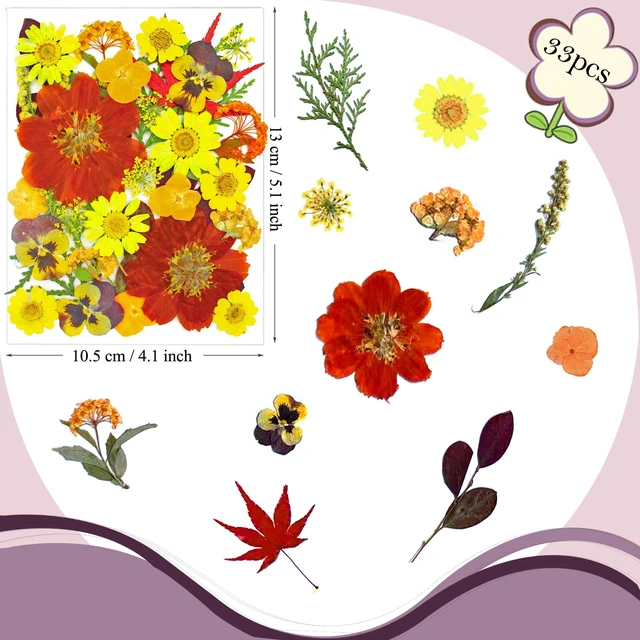Alt view image 6 of 6 - 34 Pcs Yellow Dried Pressed Flowers for Resin, Real Natural Bulk Dry Wildflowers Leaves Perfect for Epoxy Molds, DIY Crafts, Nails Soap Candles Jewelry Making, and Home Decor