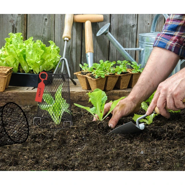 Alt view image 7 of 7 - 20 Pcs 6.8"×7.4" (Multiple Sizes/Quantities Available) Seedling Plant Protectors from Animals, Chicken Wire Plant Cage Garden Cloche to Protect Plants Vegetables from Rabbits Squirrels Chicken