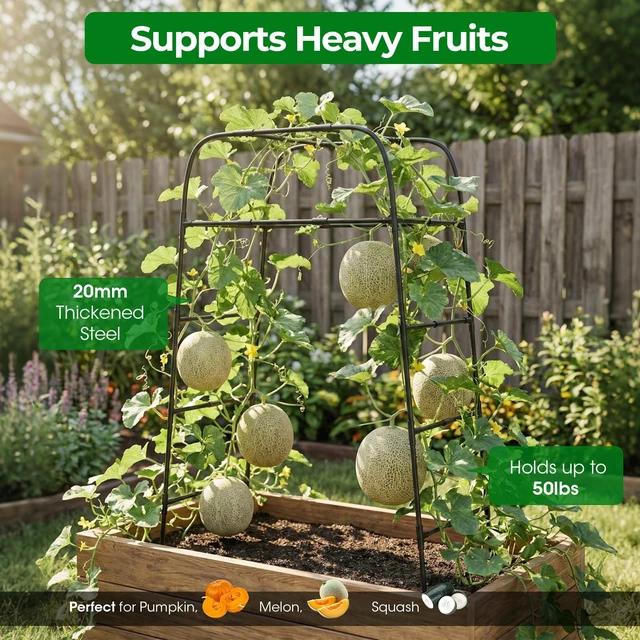 Alt view image 4 of 7 - Garden Arch Trellis for Climbing Plants, 83" High Metal Cucumber Trellis & Tomato Cage, Rustproof Steel Tunnel Support for Squash, Pumpkin, Vegetables with Screw Fixation (32.3" L x 39.4" W)
