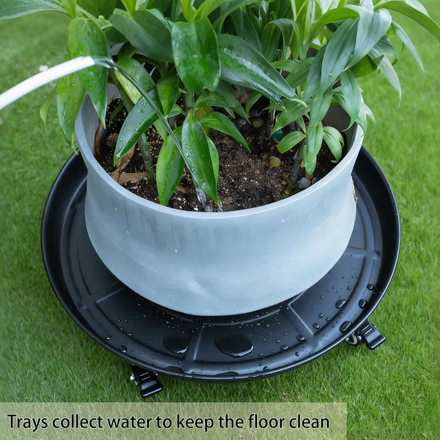 Alt view image 4 of 7 - Goooxim 14in Heavy-Duty Plant Rollers with Wheels - Ideal for Outdoor Pots | Ergonomic Wheeled Plant Caddy for Indoor & Outdoor Use, Supports 200 lbs, Effortless Mobility for Home & Garden Care