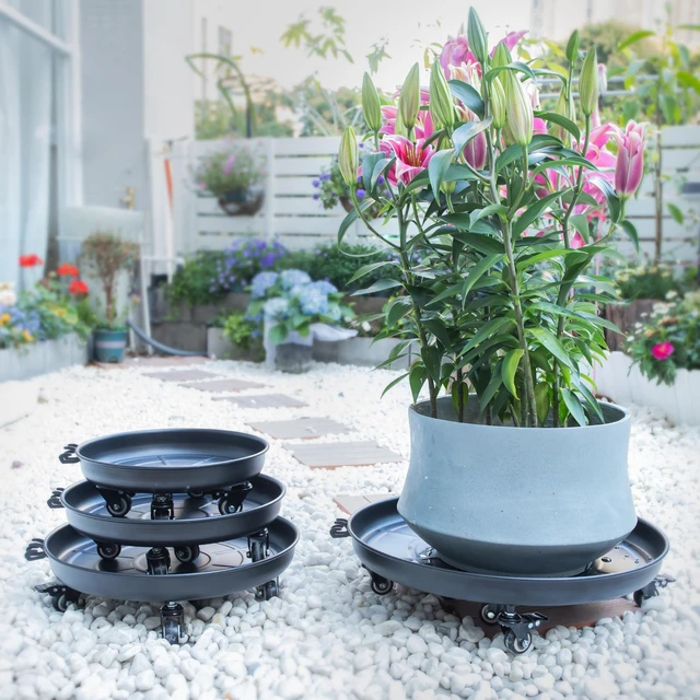 Alt view image 7 of 7 - Goooxim 14in Heavy-Duty Plant Rollers with Wheels - Ideal for Outdoor Pots | Ergonomic Wheeled Plant Caddy for Indoor & Outdoor Use, Supports 200 lbs, Effortless Mobility for Home & Garden Care