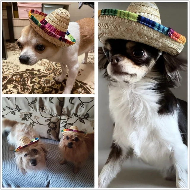 Alt view image 9 of 14 - BTYMS 8 Pieces Mini Sombrero Party Hats Fiesta Party Decorations Party Supplies Sombrero Costume Hats for Table, Dolls, Dogs- 5.9 Inch