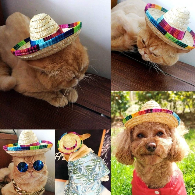 Alt view image 10 of 14 - BTYMS 8 Pieces Mini Sombrero Party Hats Fiesta Party Decorations Party Supplies Sombrero Costume Hats for Table, Dolls, Dogs- 5.9 Inch