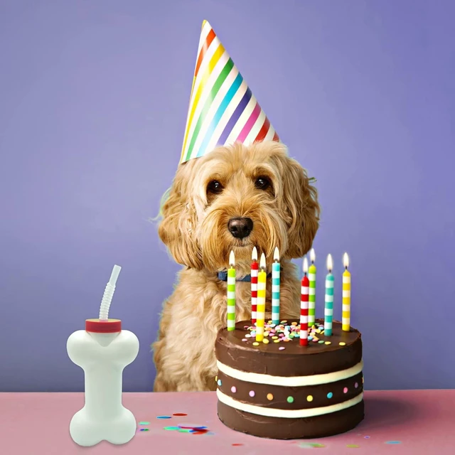 Alt view image 8 of 12 - 4E's Novelty Dog Bone Cups with Straw (6 Pack) 14 oz - Paw Dog Patrol Party Supplies, Birthday Party Supplies Decorations, Puppy Birthday Party Favors