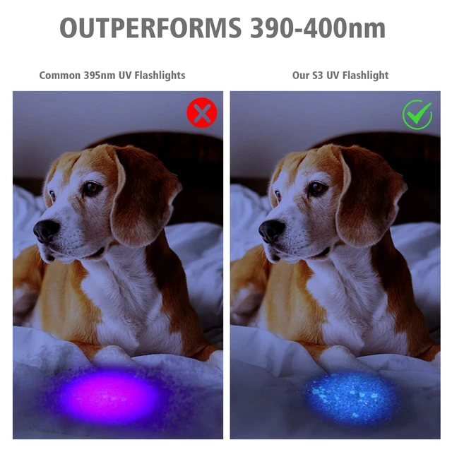 Alt view image 10 of 14 - S3 365nm UV Flashlight with 3 LEDs | Powerful Blacklight, Pet Urine Detection, Resin Curing, Rocks, Scorpion