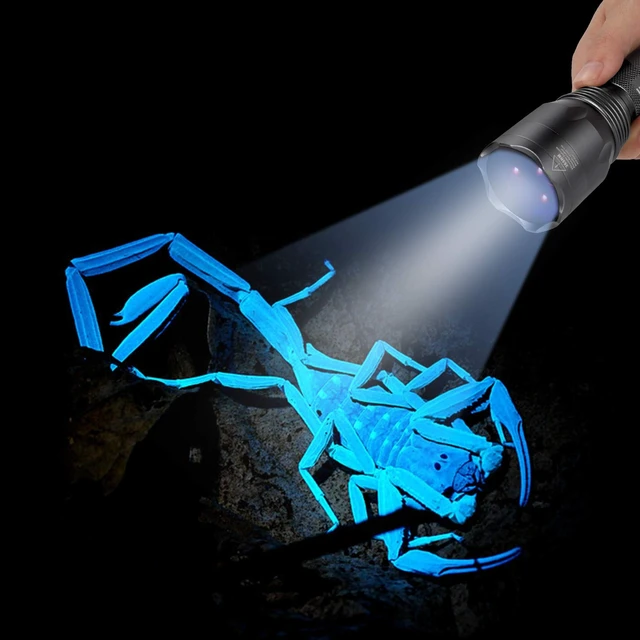 Alt view image 12 of 14 - S3 365nm UV Flashlight with 3 LEDs | Powerful Blacklight, Pet Urine Detection, Resin Curing, Rocks, Scorpion