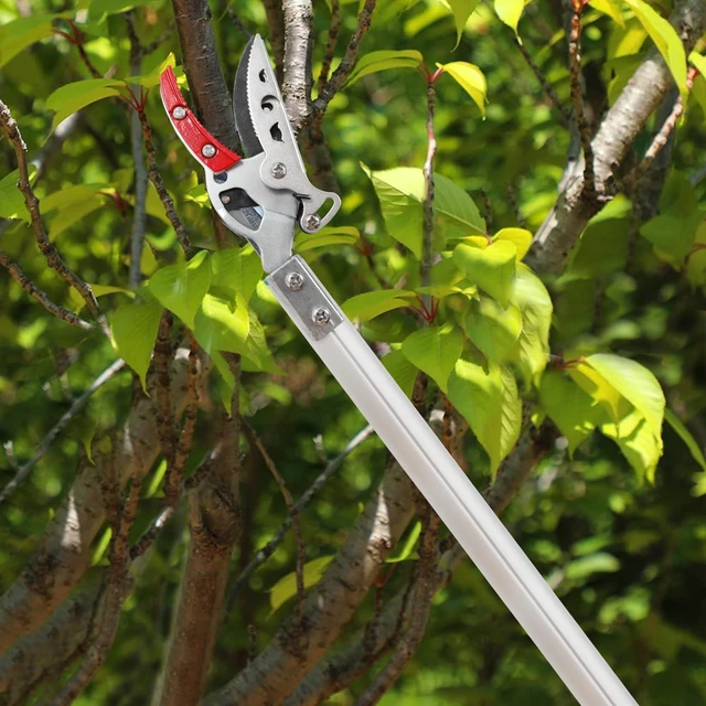 Alt view image 13 of 14 - Cut & Hold Pole Pruner, 4.2 FT Lightweight Fruit Picker with 180° Rotating Handle, SK5 Steel Blade Cuts up to 1/2 Inch, Long Reach Garden Tree Trimmer & Branch Cutter for Shrubs, Bushes