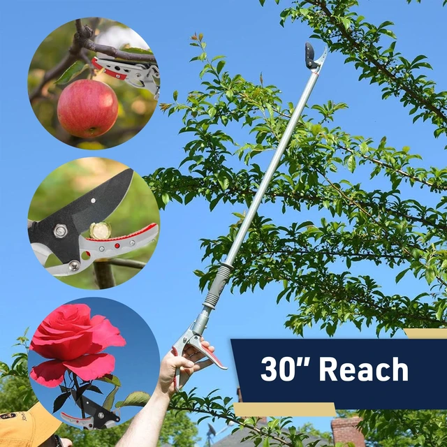 Alt view image 12 of 12 - Bypass Pruning Shears for Gardening, Rotating Head, 30 | Long Reach Tree Trimmer with 5/8" Max Cut and Ergonomic Handle - Garden Loppers for Tree Trimming Heavy Duty Pruners