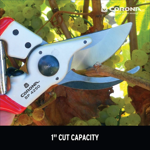 Alt view image 14 of 14 - Tools BP 4250 MAXFORGED Aluminum Bypass Pruner, 1-Inch Cut Capacity, Professional Hand Pruning Shears with Replaceable Steel Blade & Ergonomic Angled Head