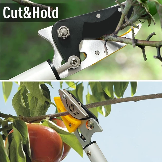 Alt view image 10 of 14 - Cut and Hold Pruner Set, Lightweight 32-Inch Long Reach Pruner One-Handed Operation, Hold Long Reach Cut Rotating, 8.3" Hand Pruner for Branch Pruning, Fruit Picking, Prickly Plants & Roses