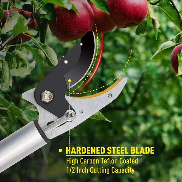 Alt view image 11 of 14 - Cut and Hold Pruner Set, Lightweight 32-Inch Long Reach Pruner One-Handed Operation, Hold Long Reach Cut Rotating, 8.3" Hand Pruner for Branch Pruning, Fruit Picking, Prickly Plants & Roses