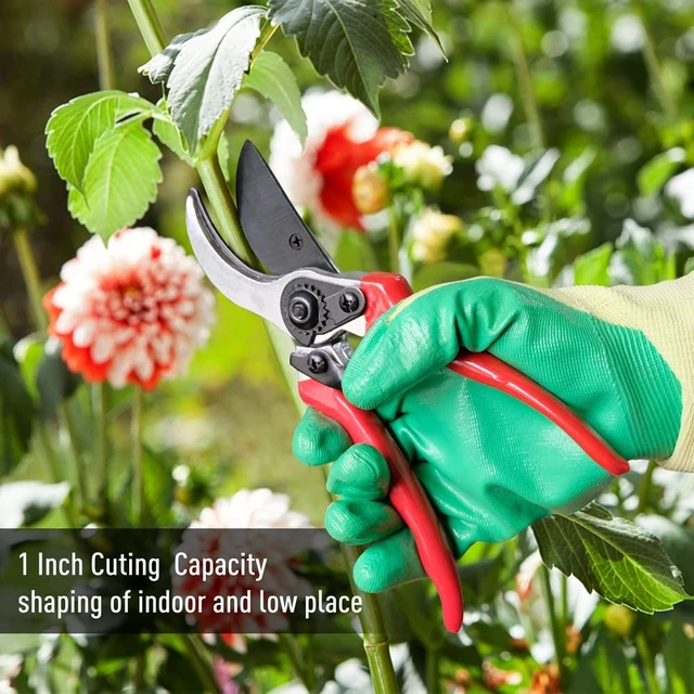 Alt view image 12 of 14 - Cut and Hold Pruner Set, Lightweight 32-Inch Long Reach Pruner One-Handed Operation, Hold Long Reach Cut Rotating, 8.3" Hand Pruner for Branch Pruning, Fruit Picking, Prickly Plants & Roses