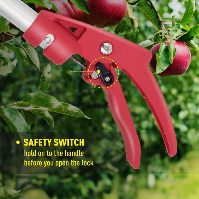 Alt view image 13 of 14 - Cut and Hold Pruner Set, Lightweight 32-Inch Long Reach Pruner One-Handed Operation, Hold Long Reach Cut Rotating, 8.3" Hand Pruner for Branch Pruning, Fruit Picking, Prickly Plants & Roses