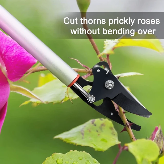Alt view image 11 of 14 - 32-Inch Cut and Hold Pruners, Long-Reach Tree Pruner with Rotating Cutter Head, Long Pruning Shears for Garden, Fruit Picking, Branches Trimming