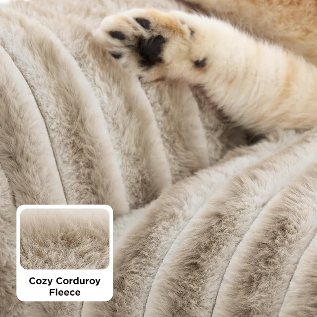Alt view image 11 of 14 - ComfyFleece Shown on TV Fluffy Cat Couch for Pets,24in Amphora | Cat Beds for Indoor Cats,Supportive Pet Sofa,Dog Couch Bed Seen on Good Day New York,Removable Washable Cover,Up to 10 Lbs
