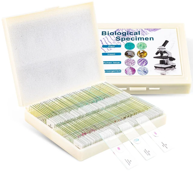 Main image of 100 Prepared Microscope Slides with Specimens for Kids Adults - Bacterium, Fungus, Human Tissues, Mitosis, Plants, Insects, Animals Cells Samples for Biological Science Lab, School Students