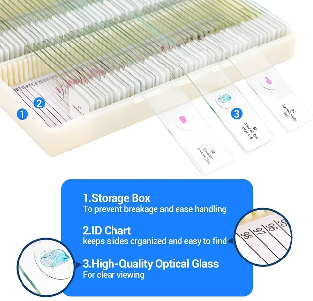 Alt view image 4 of 7 - 100 Prepared Microscope Slides with Specimens for Kids Adults - Bacterium, Fungus, Human Tissues, Mitosis, Plants, Insects, Animals Cells Samples for Biological Science Lab, School Students