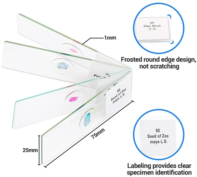 Alt view image 5 of 7 - 100 Prepared Microscope Slides with Specimens for Kids Adults - Bacterium, Fungus, Human Tissues, Mitosis, Plants, Insects, Animals Cells Samples for Biological Science Lab, School Students