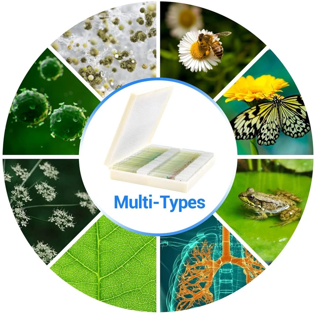 Alt view image 6 of 7 - 100 Prepared Microscope Slides with Specimens for Kids Adults - Bacterium, Fungus, Human Tissues, Mitosis, Plants, Insects, Animals Cells Samples for Biological Science Lab, School Students