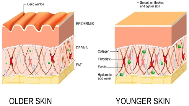 Alt view image 3 of 6 - Hydrates & Firms Skin, Reduces Fine Lines, Intensive Cleansing Anti-Aging Serum for Face