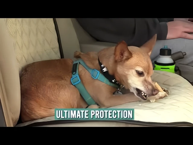 Alt view image 5 of 5 - Universal Bench Seat Cover Set Faux Leather Padded for Cars Trucks SUV Vans