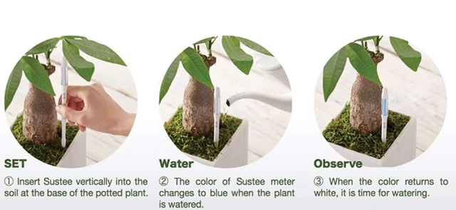 Alt view image 5 of 7 - Sustee Aquameter, Bundle of 12, House Plant Soil Moisture Meter, Best for Indoor Potted Plants - Medium Green Refillable