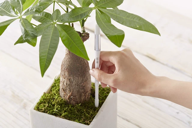 Alt view image 2 of 5 - Aquameter, Set of 5, Plant Soil Moisture Sensor (Green, Medium)