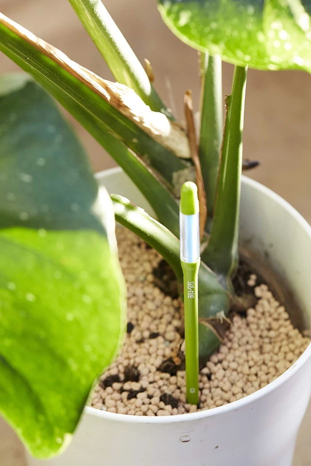 Alt view image 5 of 5 - Aquameter, Set of 5, Plant Soil Moisture Sensor (Green, Medium)