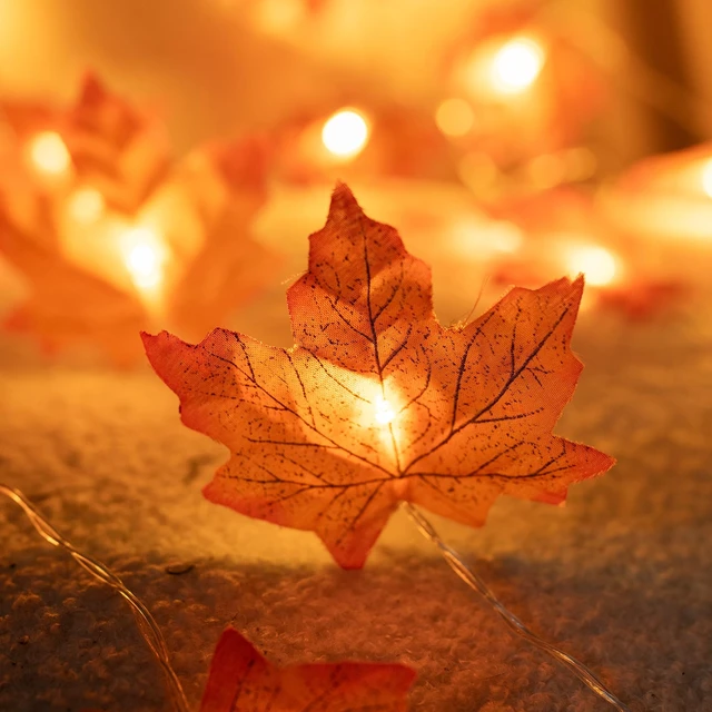 Alt view image 3 of 7 - 2 Pack Thanksgiving Maple Leaf String Lights, Total 20FT 40 LED Battery Operated Lighted Fall Leaves Garland, Halloween Decorations for Indoor Outdoor Autumn Harvest Decor