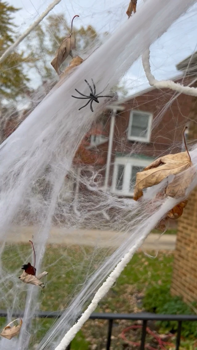 Alt view image 4 of 5 - 200 sqft Halloween Spider Webs Decorations with 10 Extra Fake Spiders, Super Stretchy Cobwebs for Halloween Decor Indoor and Outdoor