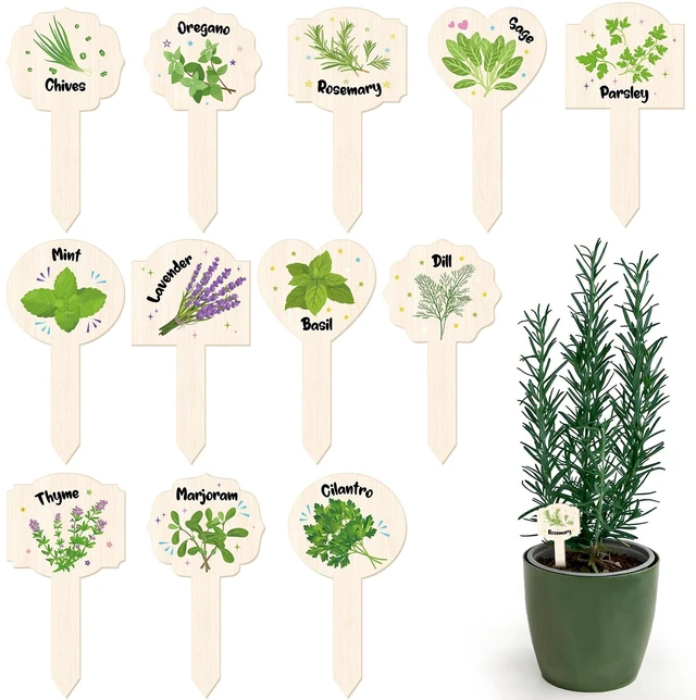 Main image of 24 Pcs Acrylic Plant Label Signs Garden Herb Markers Waterproof Plant Tags with Printed Name for Indoor Outdoor Nursery Garden Decoration