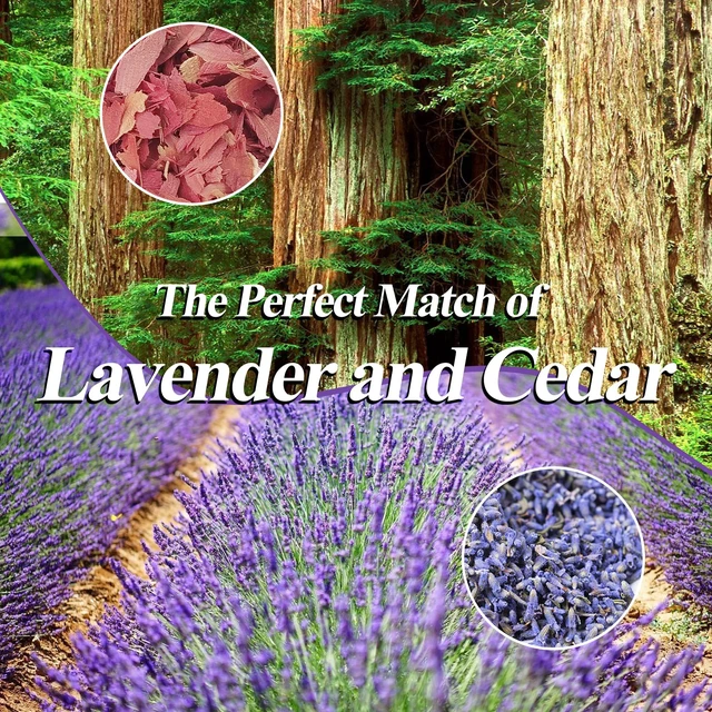 Alt view image 5 of 6 - Cedar Chips and Lavender Sachets 24Pack for Drawers and Closets | Stops Clothes Damage, For Clothes Storage, Bags, Cedar Chips, Blocks in Sachet, Hangers, Cedarwood