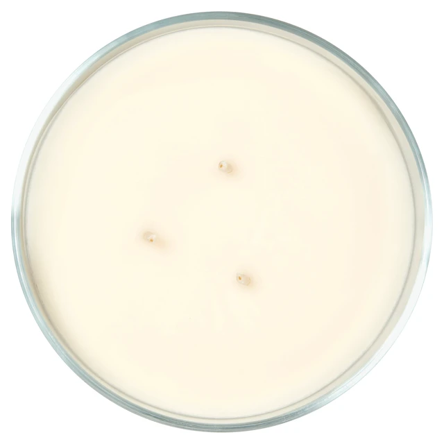 Alt view image 4 of 7 - Mainstays 3-Wick Ombre Wrapped Country Holiday Scented Jar Candle 14 oz