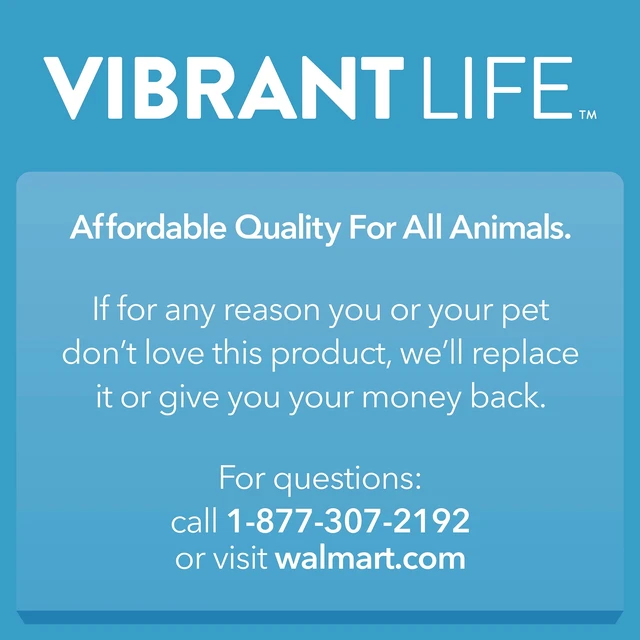 Alt view image 3 of 5 - Vibrant Life Medium Stainless Steel Dog Bowl, 25.75floz, Black with Bones