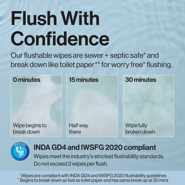 Alt view image 2 of 5 - The Honest Company Gilded Wings Flushable Wipes for Adults, Fragrance Free, Hypoallergenic Wet Wipes, 42 Count