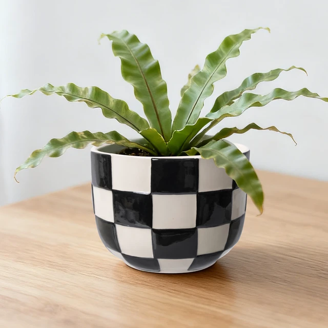 Alt view image 3 of 6 - Mainstays Lennon Round Black Checkered Ceramic Planter