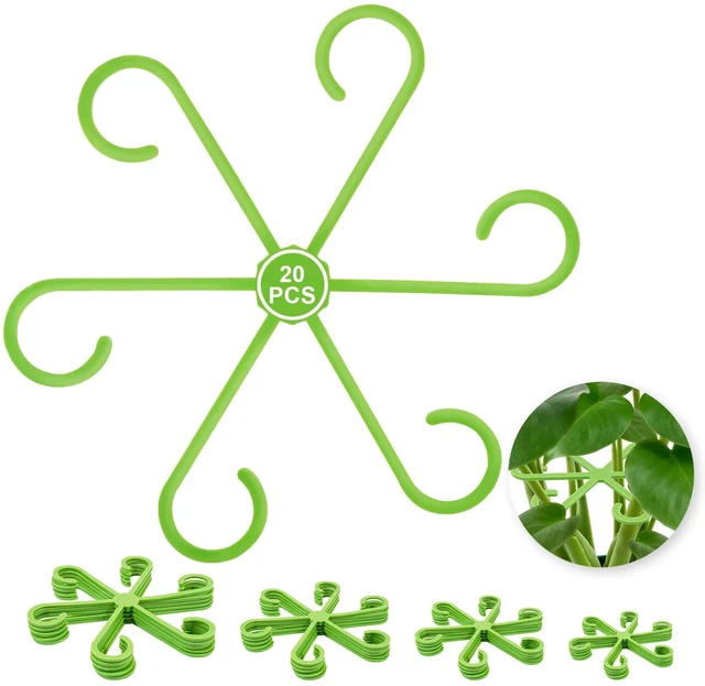 Main image of 20PCS Plant Stem Supports for Monstera, 4 Sizes for Indoor Plants