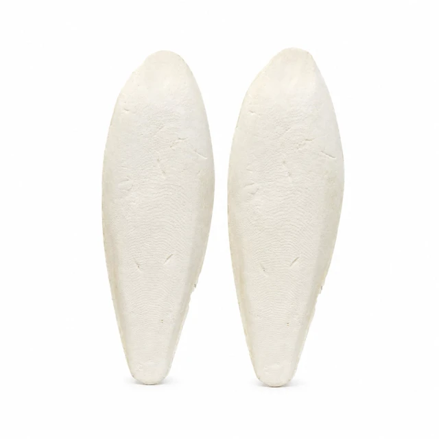 Main image of SunGrow Large Cuttlefish Bones for Cockatiels, Turtles, Shrimp, Dog Calcium Supplement, Cage Holder Included, 2 Pieces per Pack
