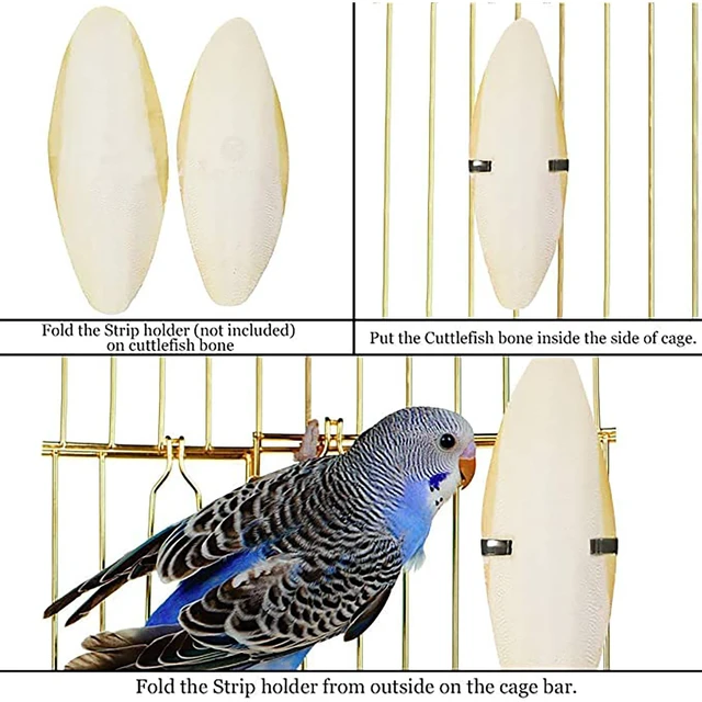 Alt view image 2 of 6 - SunGrow Large Cuttlefish Bones for Cockatiels, Turtles, Shrimp, Dog Calcium Supplement, Cage Holder Included, 2 Pieces per Pack