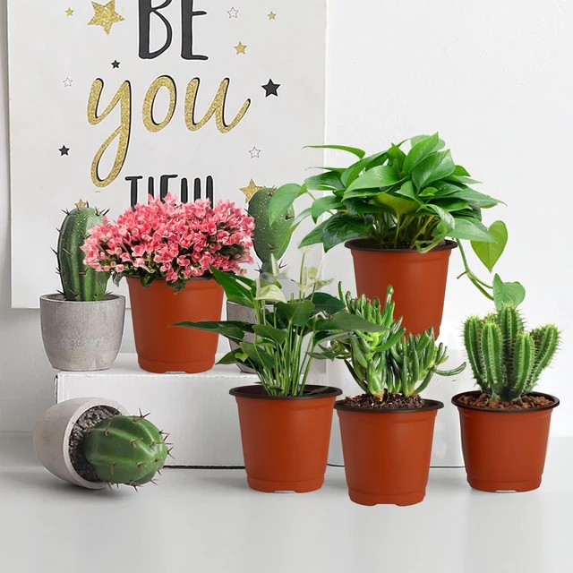 Alt view image 7 of 7 - 40 PCS Plant Nursery Pots 4 Inch Plant Seedling Pots with Drainage Holes Plastic Plant Flower Pot Small Plastic Seed Starting Pot Starter Containers Office Home Indoor Outdoor