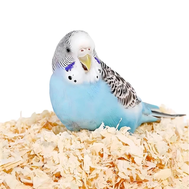 Main image of MANON ROSA Wood Shavings for Bird Bedding - Natural Aspen Soft Low-Dust & Odor-Control Nesting Material for Parakeets Parrots Rabbits Cockatiel for Cages, Nest Boxes, Small Pet Litter