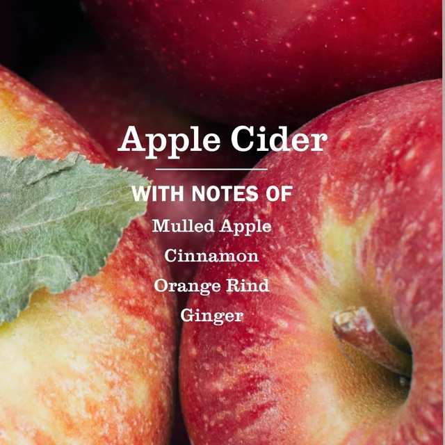 Alt view image 6 of 6 - MRS. MEYER'S CLEAN DAY Multi-Surface Cleaner, Apple Cider, 16 fl oz