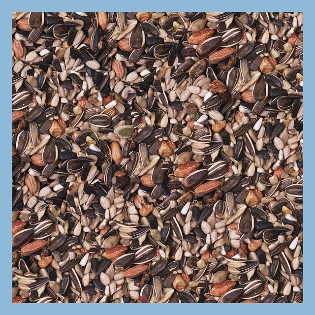 Alt view image 3 of 6 - 3-D Pro Blends Nut N' Berry Blend Wild Bird Food, Wild Bird Seed, 5 Pounds