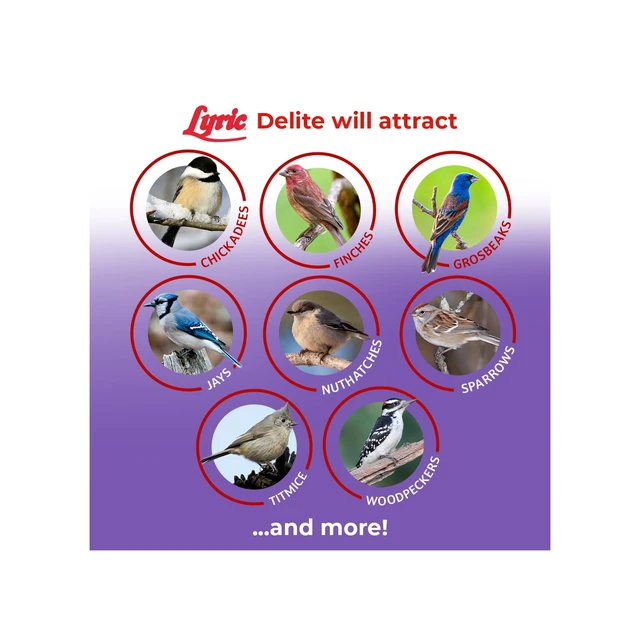 Alt view image 6 of 6 - Lyric Delite Wild Bird Seed, No Waste Bird Food Mix with Shell-Free Nuts & Seeds 5 lb Bag