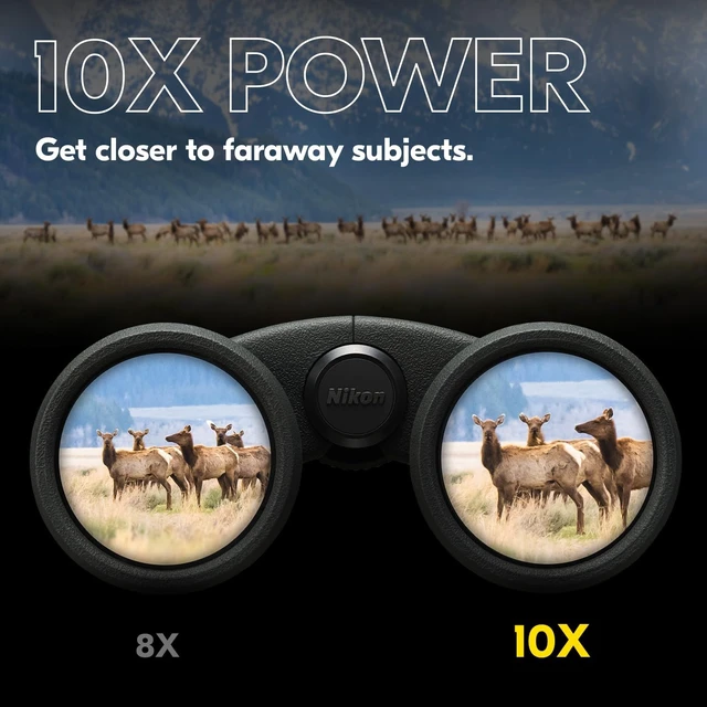 Alt view image 6 of 7 - PROSTAFF P3 10x42 Binocular Waterproof, fogproof, rubber-armored Full-Size Binocular, wide field of view & long eye relief Official USA Model