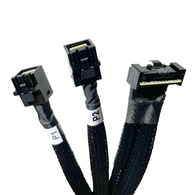 Main image of DiliVing 8X to 2* 4X,- 74pin to 2*- 36pin Cable 80cm(Suitable for DELL Server H750/755)